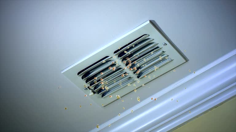  Fallon, NV Airduct Cleaning Pros