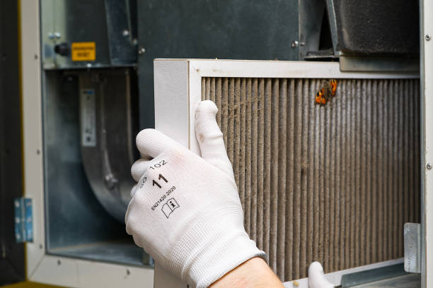 Best HVAC Air Duct Cleaning  in Fallon, NV