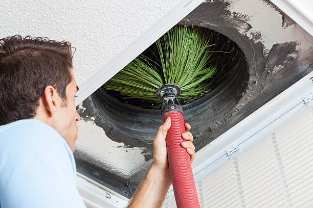 Best Affordable Duct Cleaning Services  in Fallon, NV
