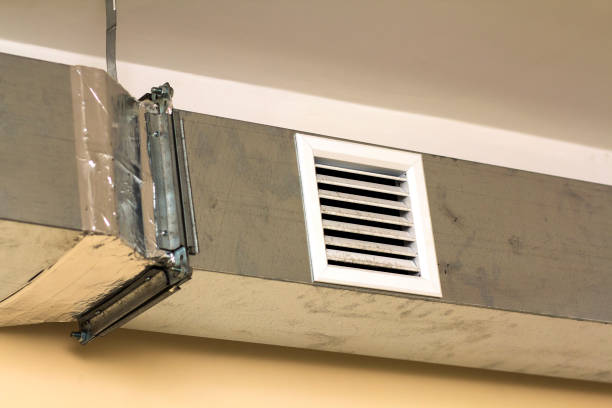Best Local Air Duct Cleaning Services  in Fallon, NV